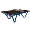 Butterfly All Weather Table Tennis Table