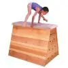 Niels Larsen 5 section Vaulting Box