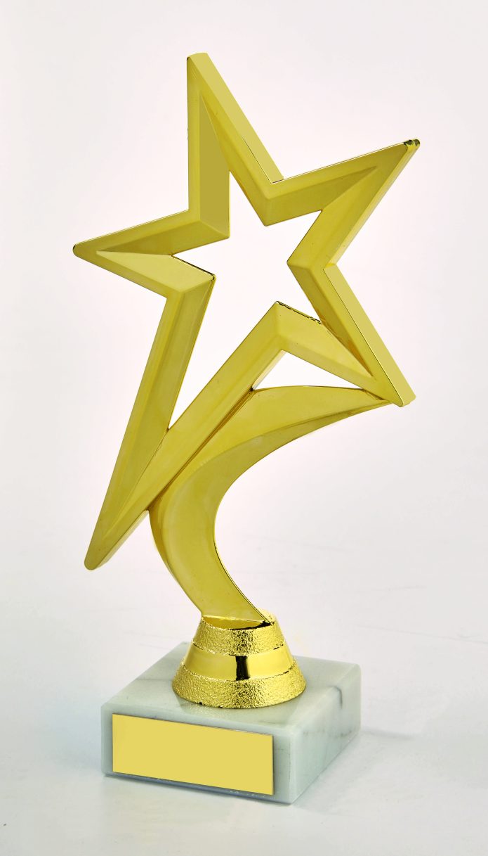 Star Player Trophy - Gold - 185mm