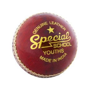 Readers Special School Cricket Ball - Junior