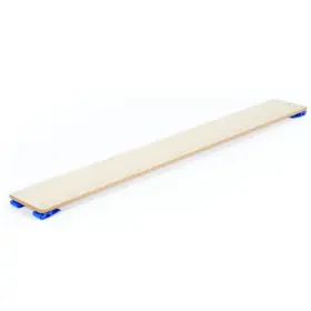 Gym Time Balance Slide Plank