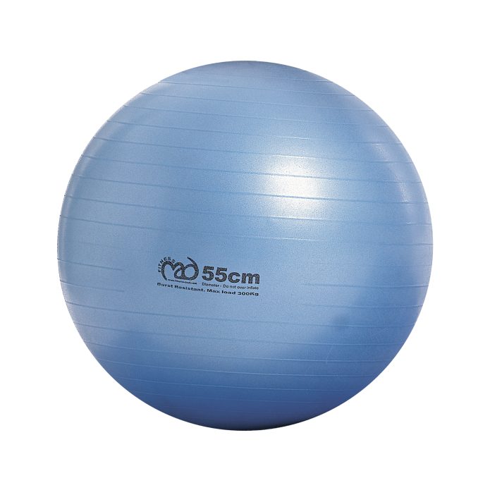 300kg Anti-Burst Swiss Ball - 65cm