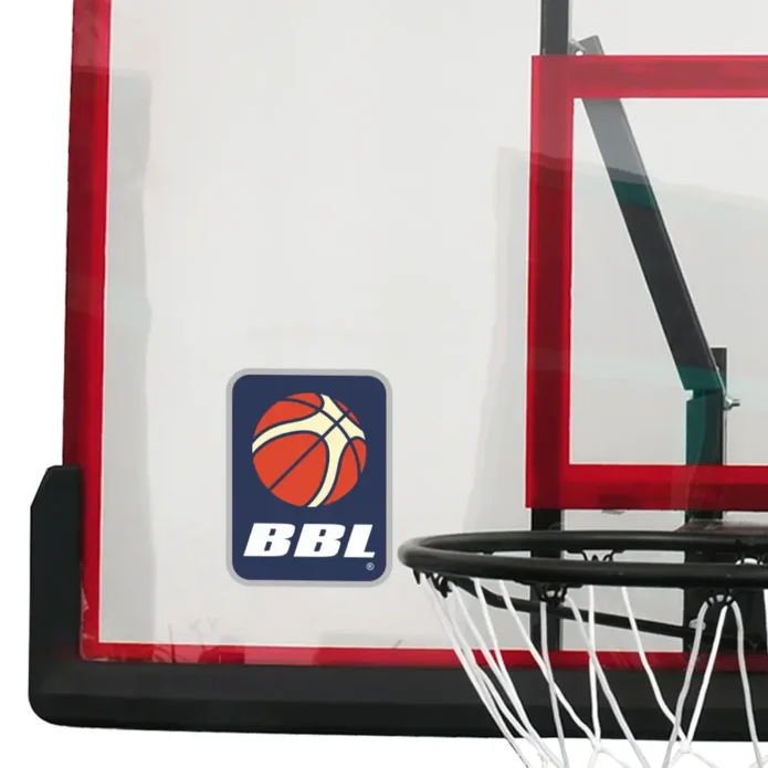 Acrylic Backboard and Ring - Image 3